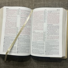 New King James NIV Study Bible Compact Zondervan Green Sand Faux Leather Bound
