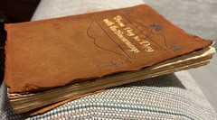 From Day to Day with the Brownings, Wallace & Frances Rice [Soft Leather Bound]