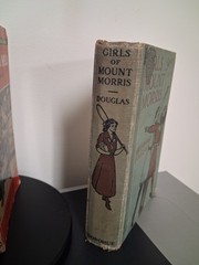 Vintage Book Lot- Scarlett Letter, Mean As Hell, The Girls At Mount Morris,