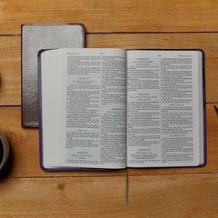 KJV Holy Bible: Value Large Print Thinline, Pink Leathersoft, Red Letter,…
