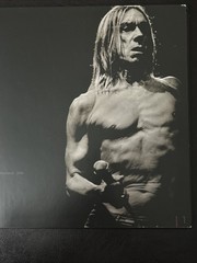 RARE Signed HP|PH A Book Like A Rockalbum! By Hans-Peter van Velthoven 830/1000