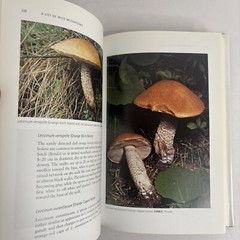 Edible and Poisonous Mushrooms of the World by Hall, Stepheson, Buchanan, Yun