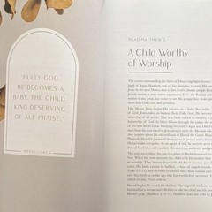 The Daily Grace Co. Journey to Freedom Kyra Daniels Moses Bible Study PB 2017