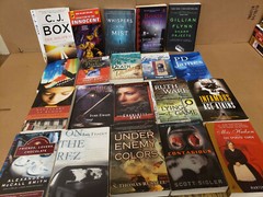 Lot of 10 Mystery Large Trade Paperback Books Suspense Thriller Crime Murder MIX