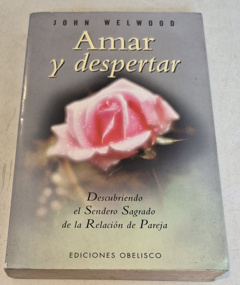 Amar y despertar (Spanish Edition)