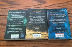 Chris Whitaker Collection 3 Books Set – Fiction – Paperback
