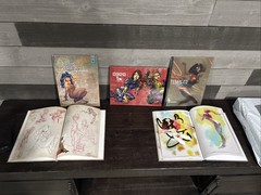 Eye Candy, Female Adult , Art Book Lot Of 3 New Great For Inmates, Graphic Art