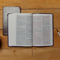 KJV Holy Bible: Value Large Print Thinline, Pink Leathersoft, Red Letter,…
