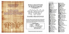 LARGE PRINT PU LEATHER Restored NAMES Bible + 2 FREE Books