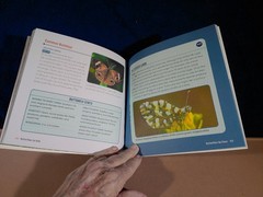 BUTTERFLIES FOR KIDS AGE6-9 JUNIOR SCIENTIST’S GUIDE 72 PAGES 2021