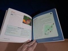 BUTTERFLIES FOR KIDS AGE6-9 JUNIOR SCIENTIST’S GUIDE 72 PAGES 2021