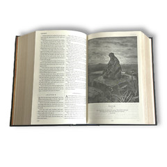 THE HOLY BIBLE King James Version KJV Deluxe Illustrated Bounded Leather – New