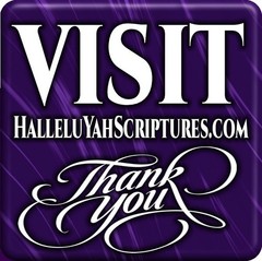 LARGE PRINT RESTORED NAMES BIBLE HalleluYah Scriptures & 2 FREE Books