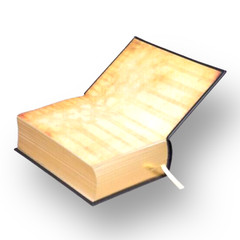 THE HOLY BIBLE King James Version KJV Deluxe Illustrated Bounded Leather – New