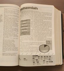 Prophecy Study Bible NKJV Tim LaHaye Genuine Leather Burgundy Vintage 2001