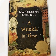 Square Fish A Wrinkle in Time Quintet Madeleine L’Engle Perfect 2007 Time Travel