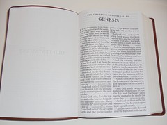 KJV Bible, Large Super Giant Print 16-Pt, Brown Leather-Touch King James Version