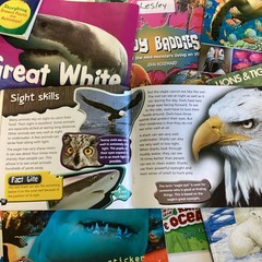 Children’s Random Animal Science Nonfiction Education Classroom 20 Book Lot