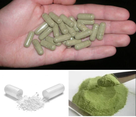 Meskalin Österreich kaufen Austria